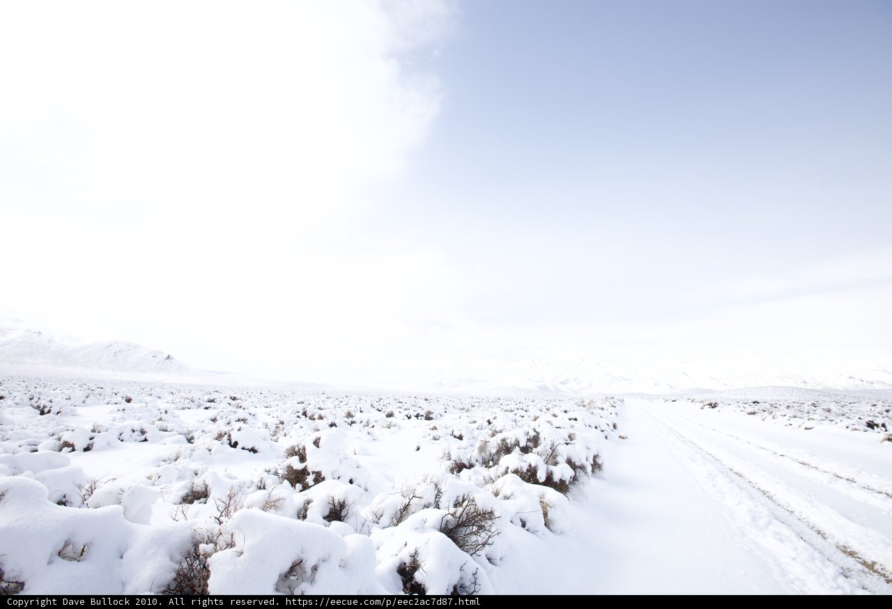 Snowy Wonderland in the Desert