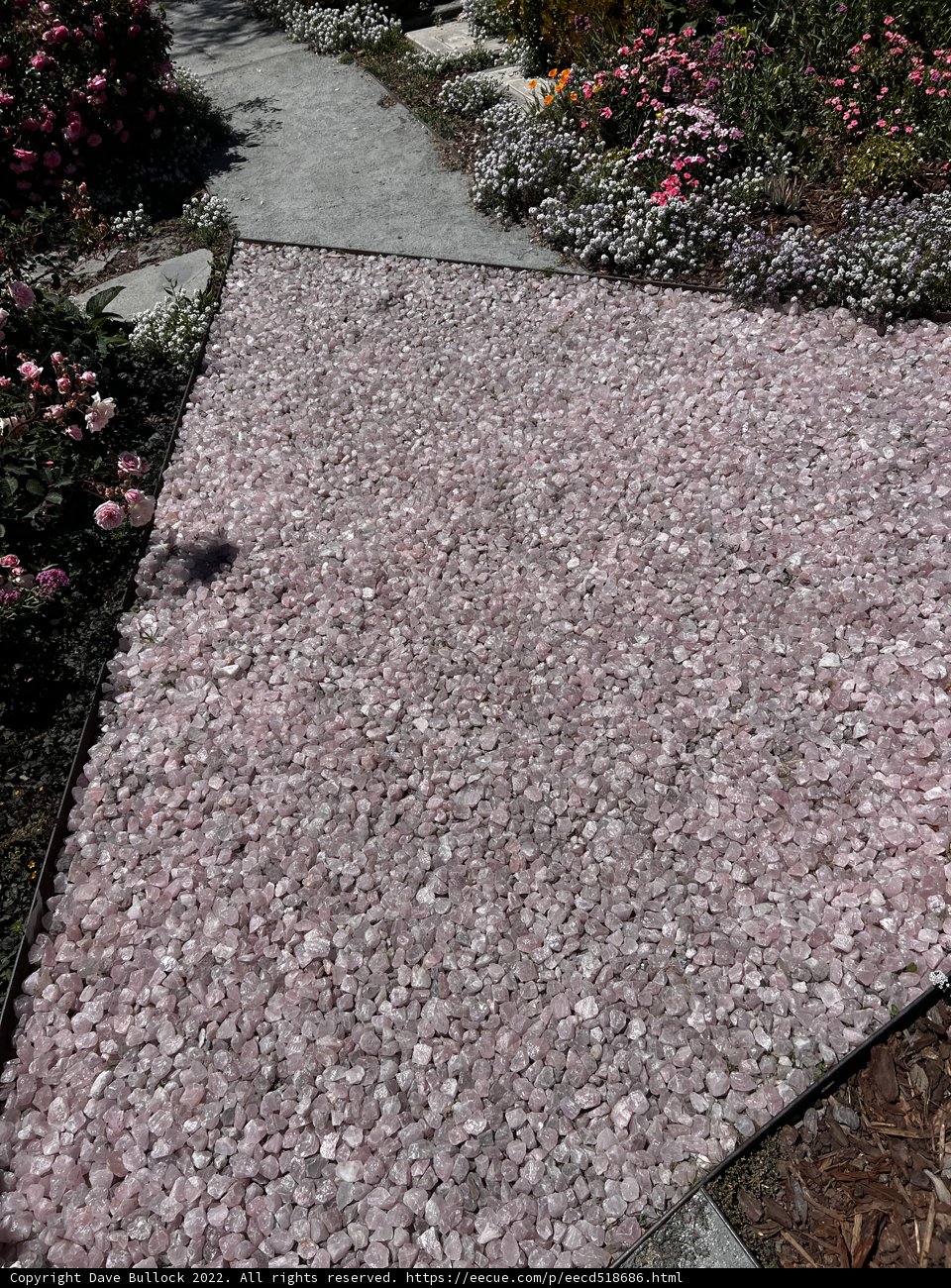 Pathway of Pink Stones