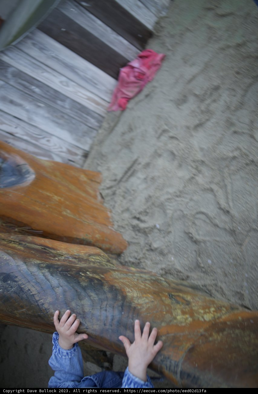 Sandcastle Adventures at SF Zoo