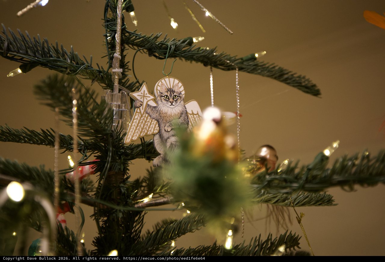Handcrafted Cat Angel Ornament on Illuminated Christmas Tree