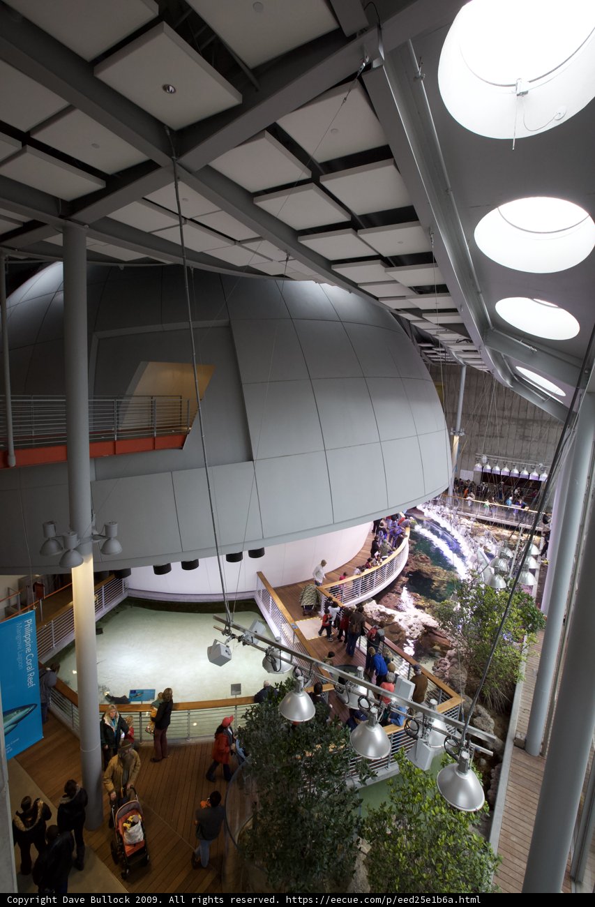 Exploring the California Science Center
