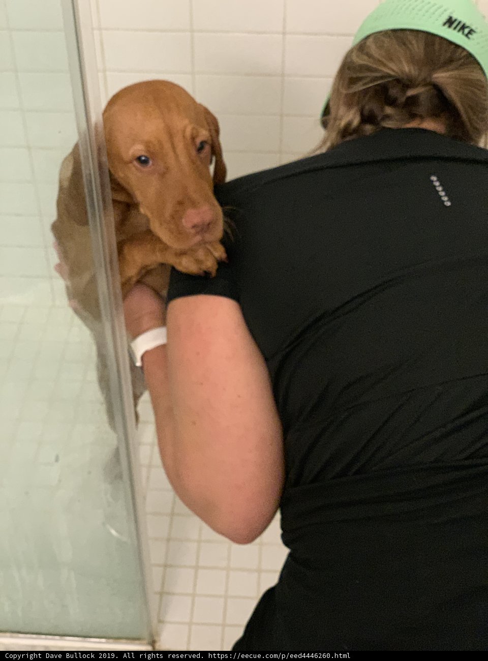 Shower Time for the Fur Baby