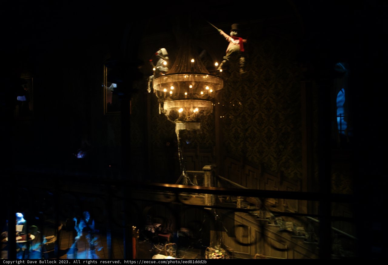 Enchanting Chandelier Gathering