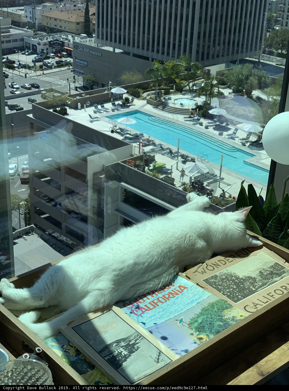 Window Lounge