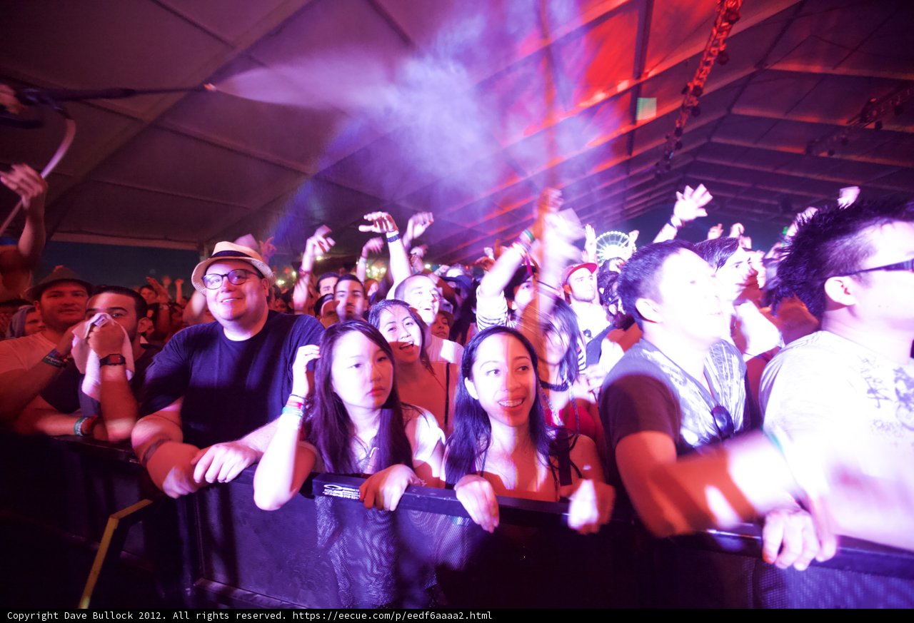 Wild Night at Coachella