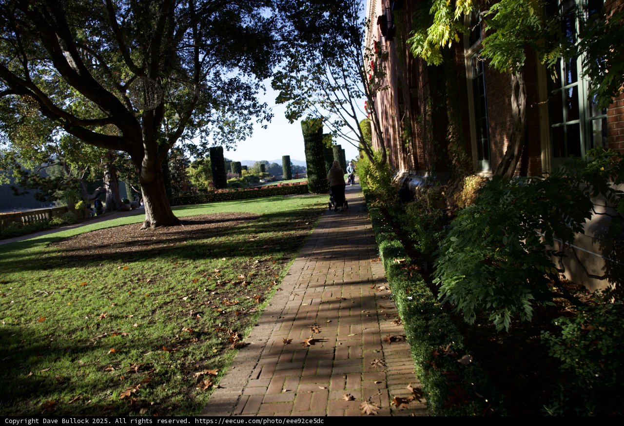 Strolling Through Thistlewyck