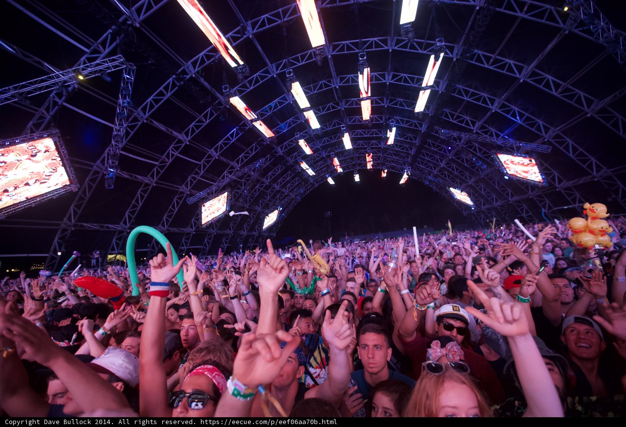 Hands in the Air at Coachella