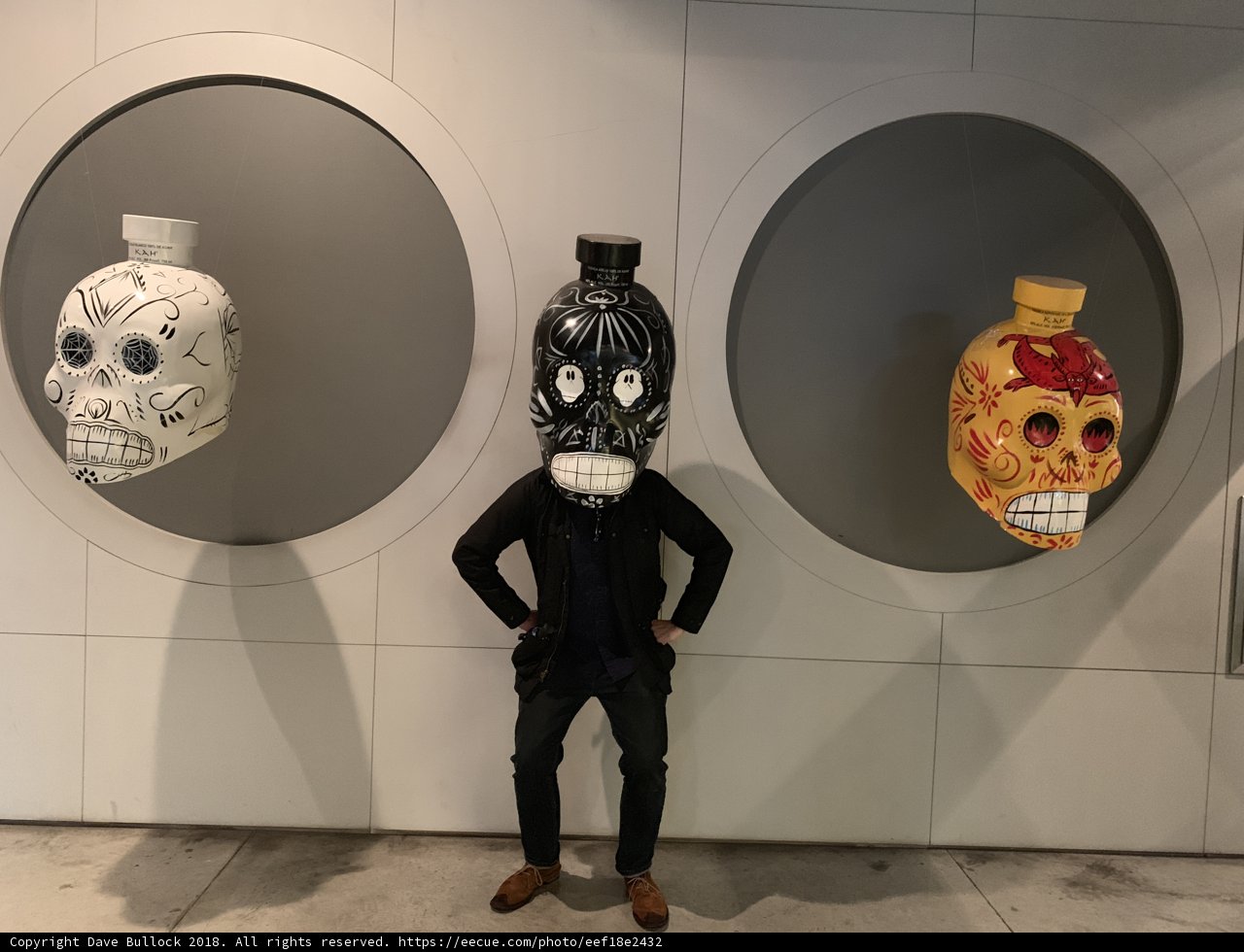 Man and Skulls