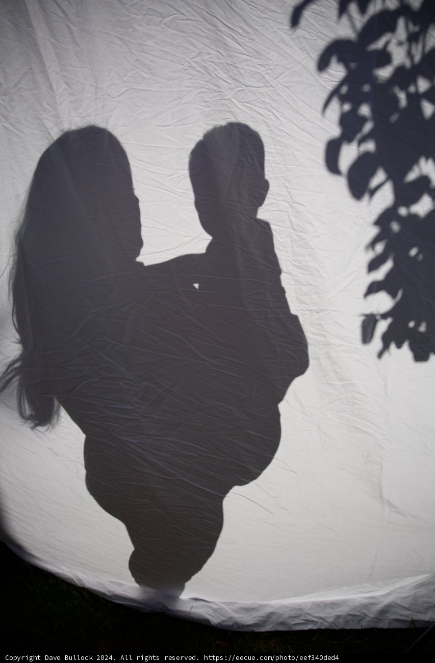 Shadows of New Beginnings