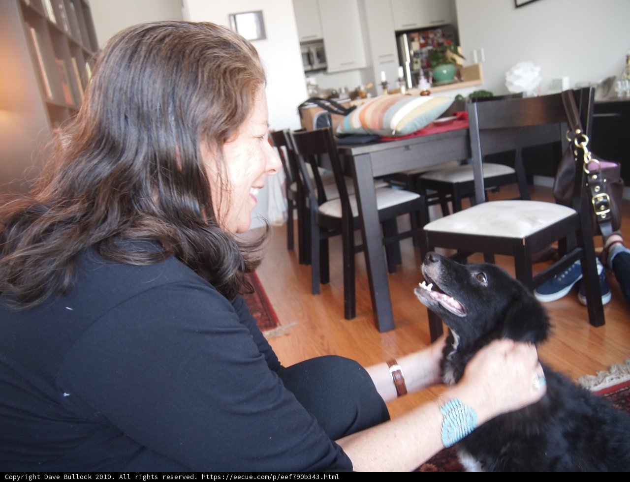 Woman and Dog at the Dining Table