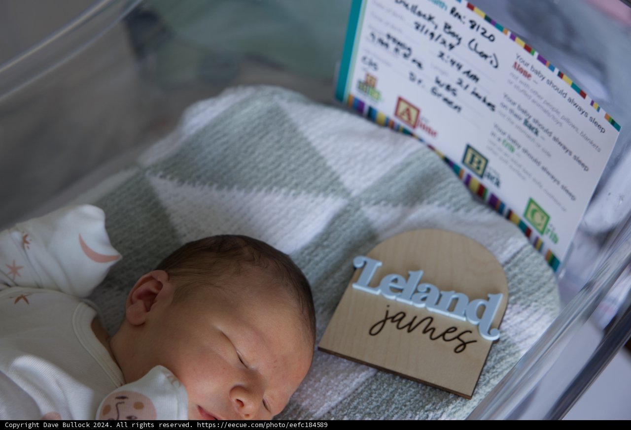 Welcome to the World, Leland