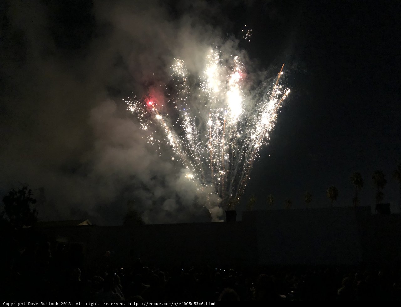 Fireworks light up the night sky over excited crowd