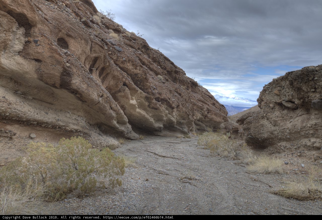 Desert Road Trip