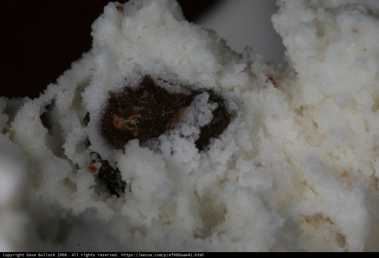 Snowy White Cake