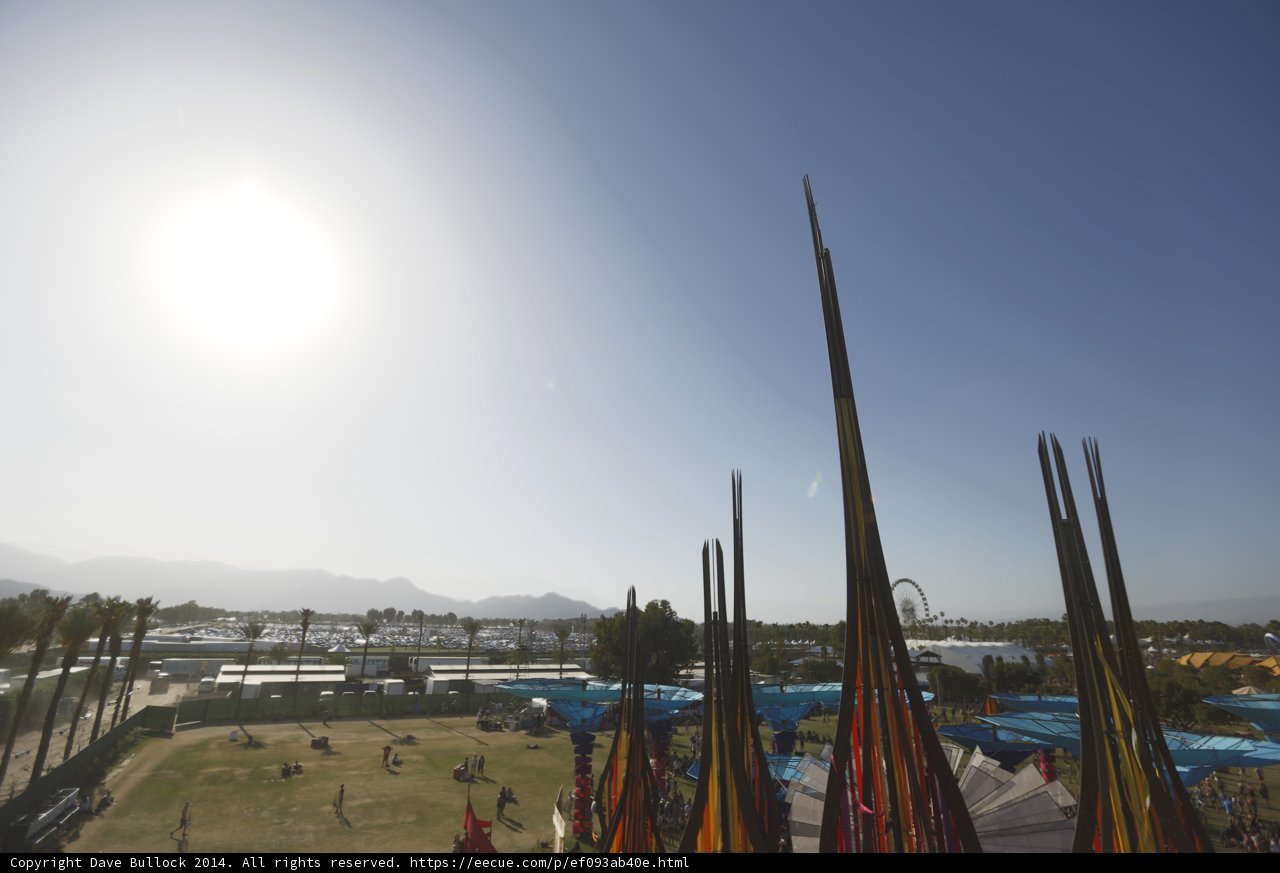 Field of Flags