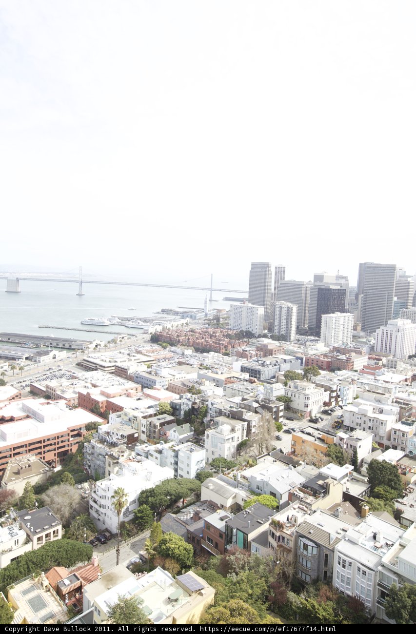 The Metropolis from Above