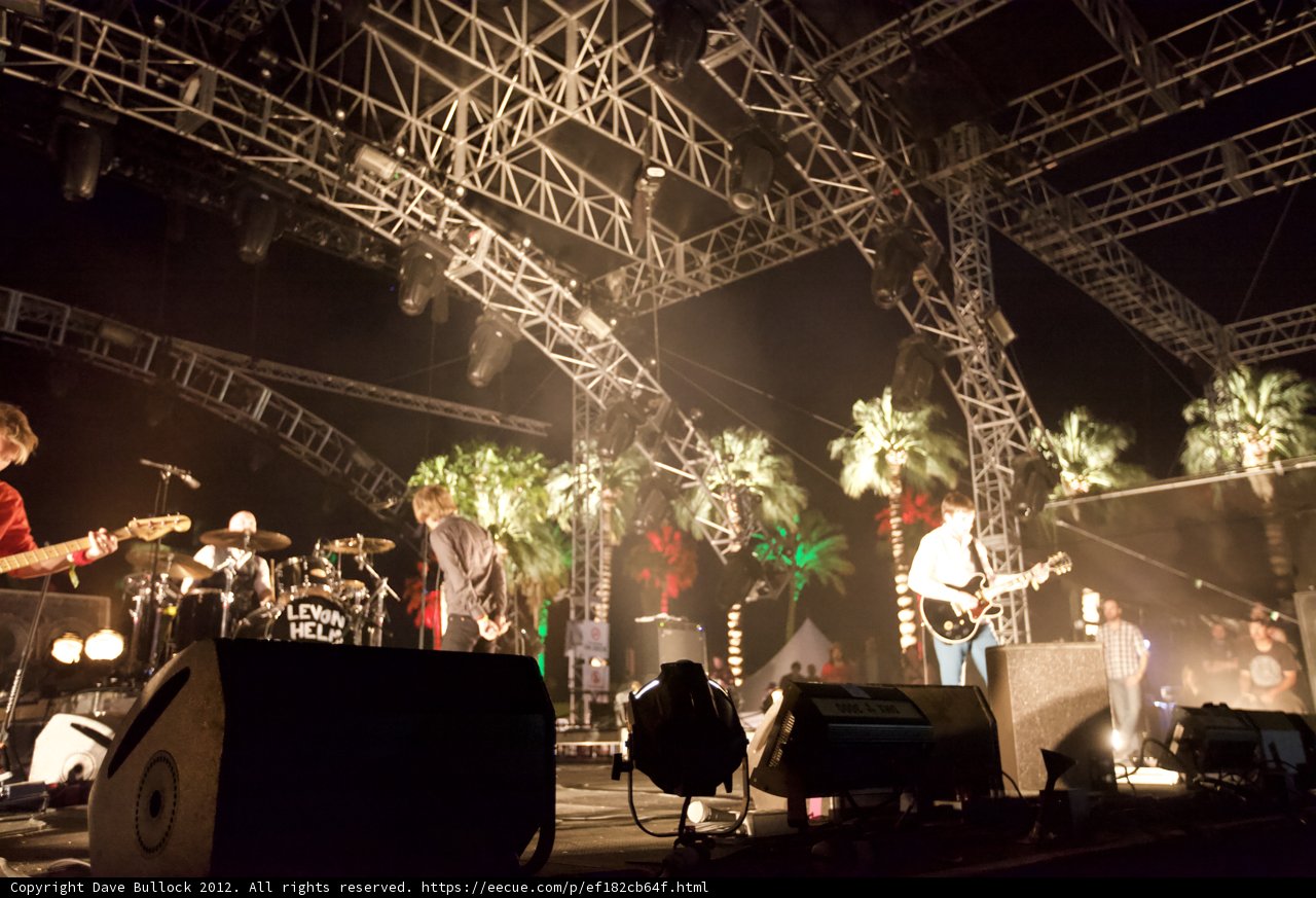 Rocking out under the Palm Trees