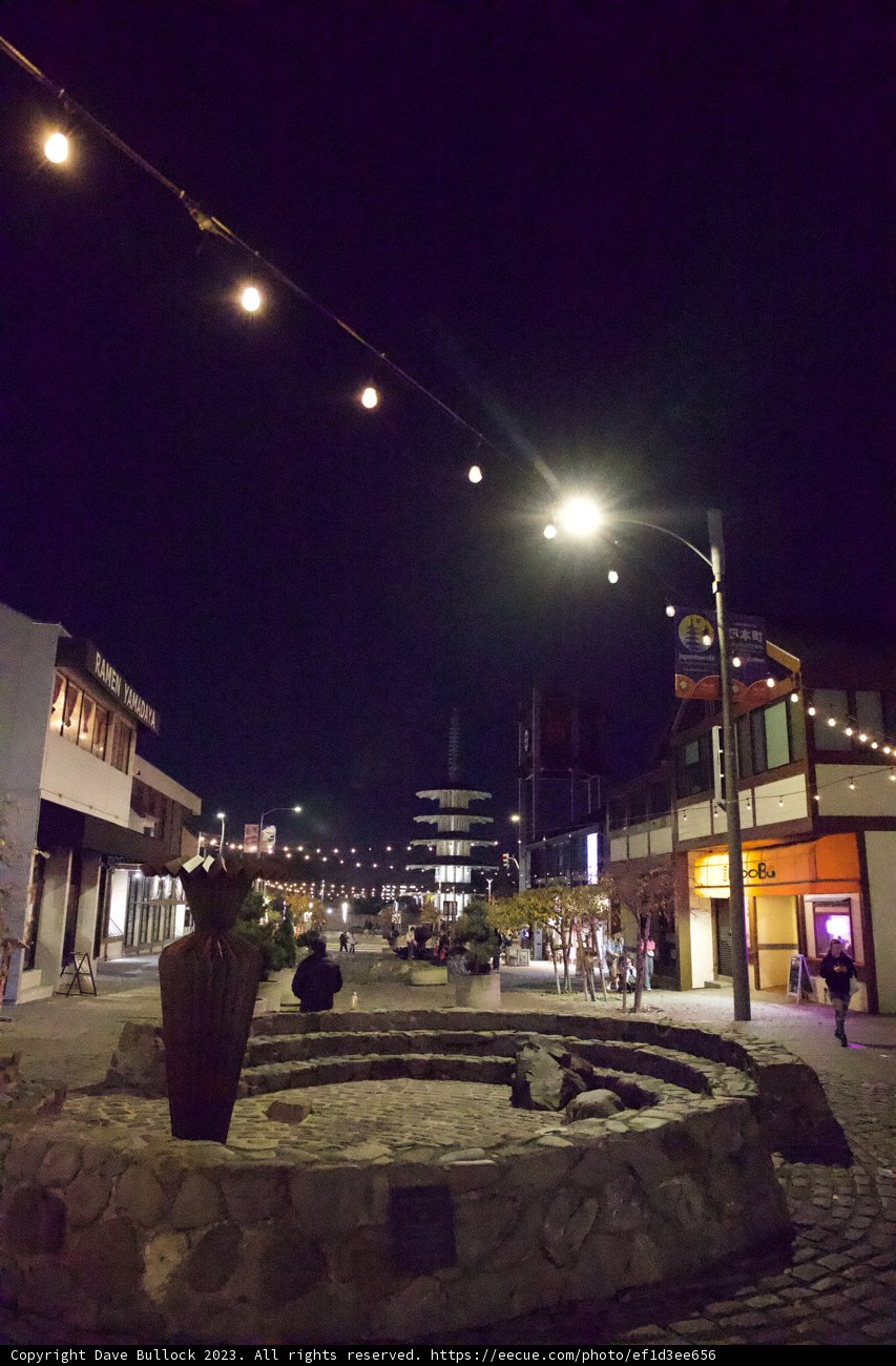 Moonlit Serenade: A Night on Town in Japan, 2023