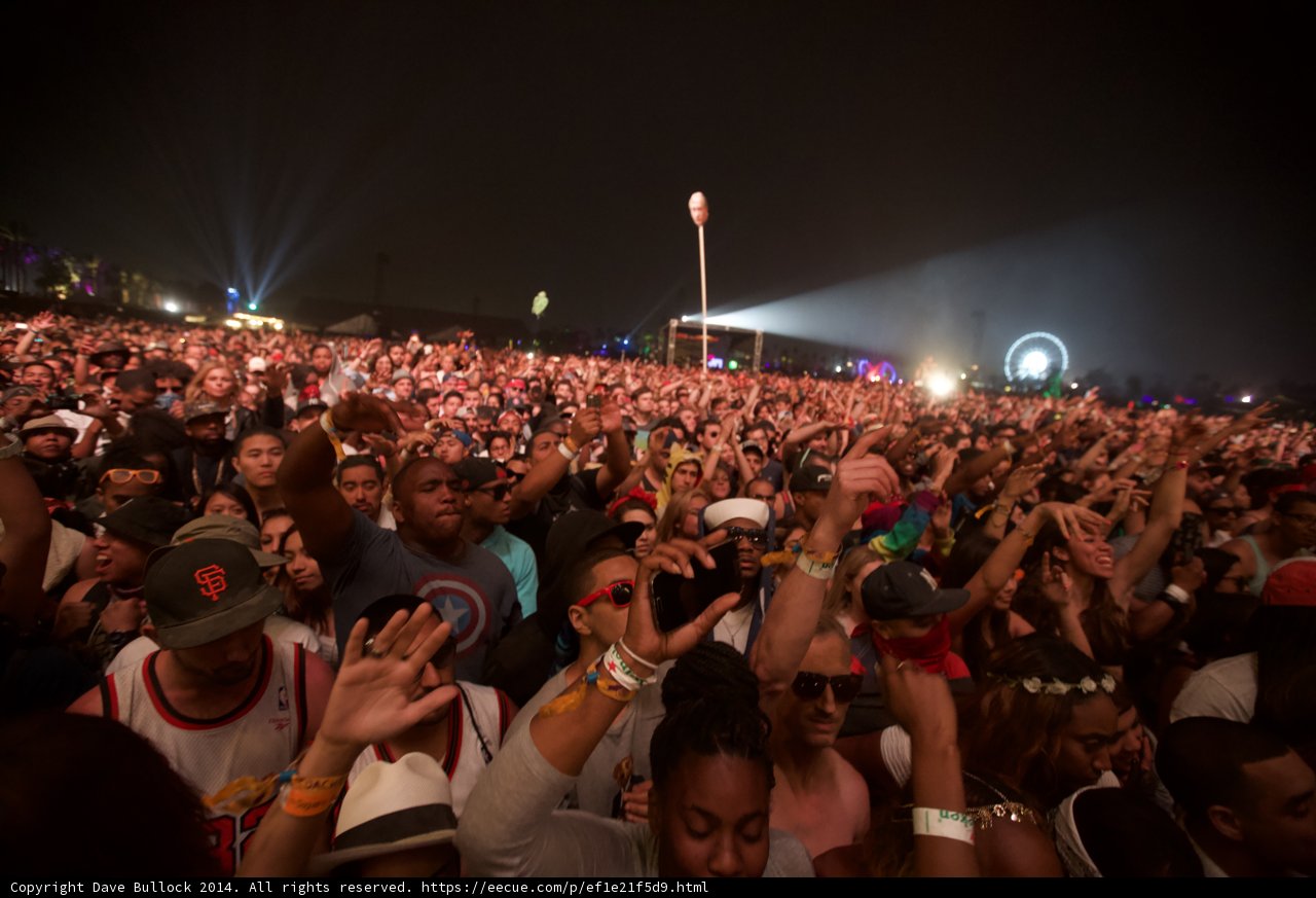 Coachella Nights