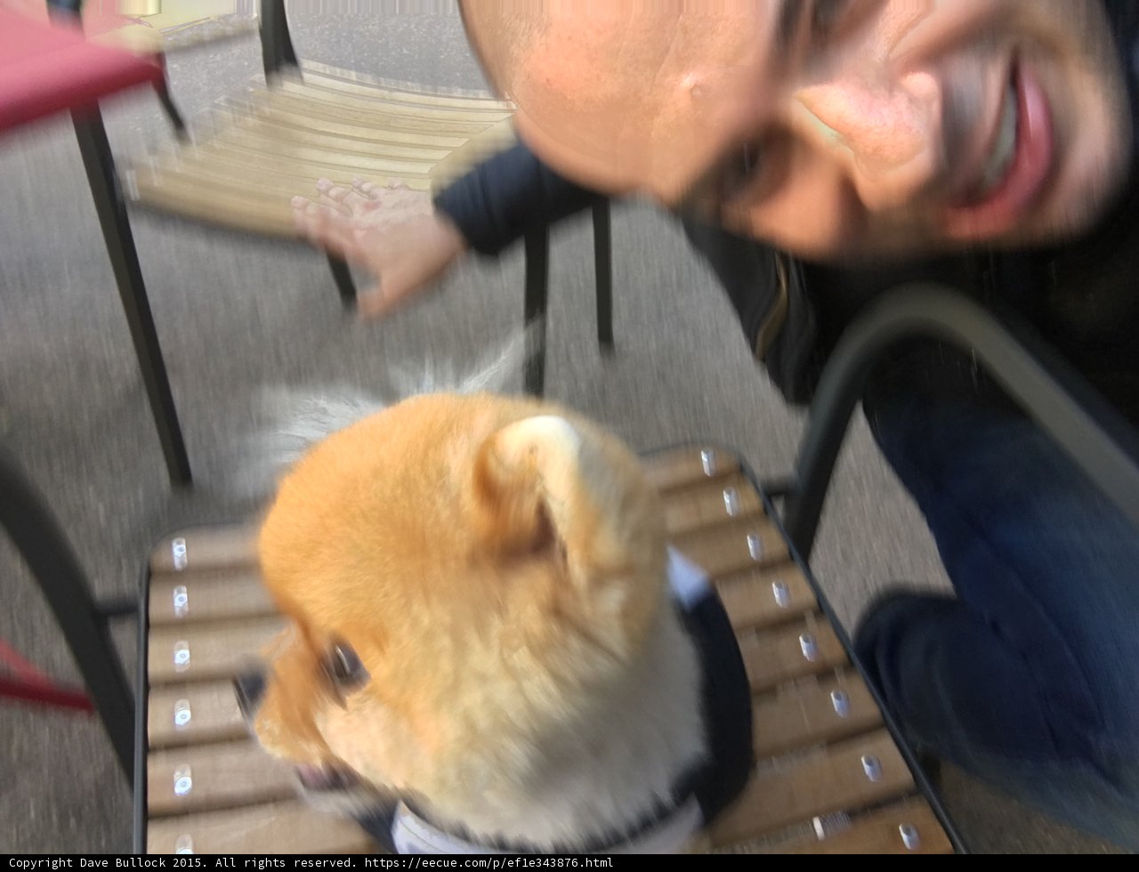 Jiff Profile