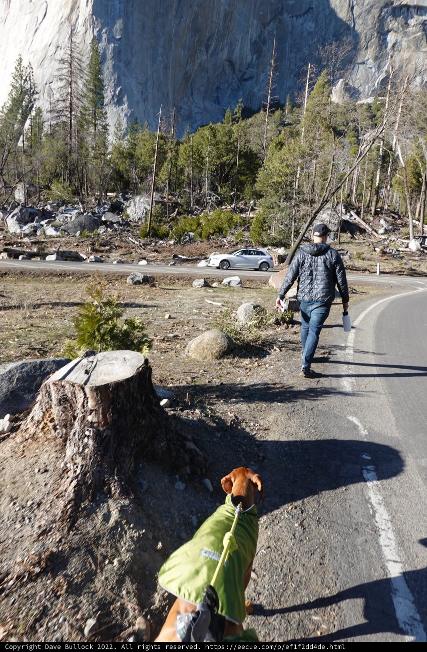 Man and His Dog Take a Hike in Yosemite