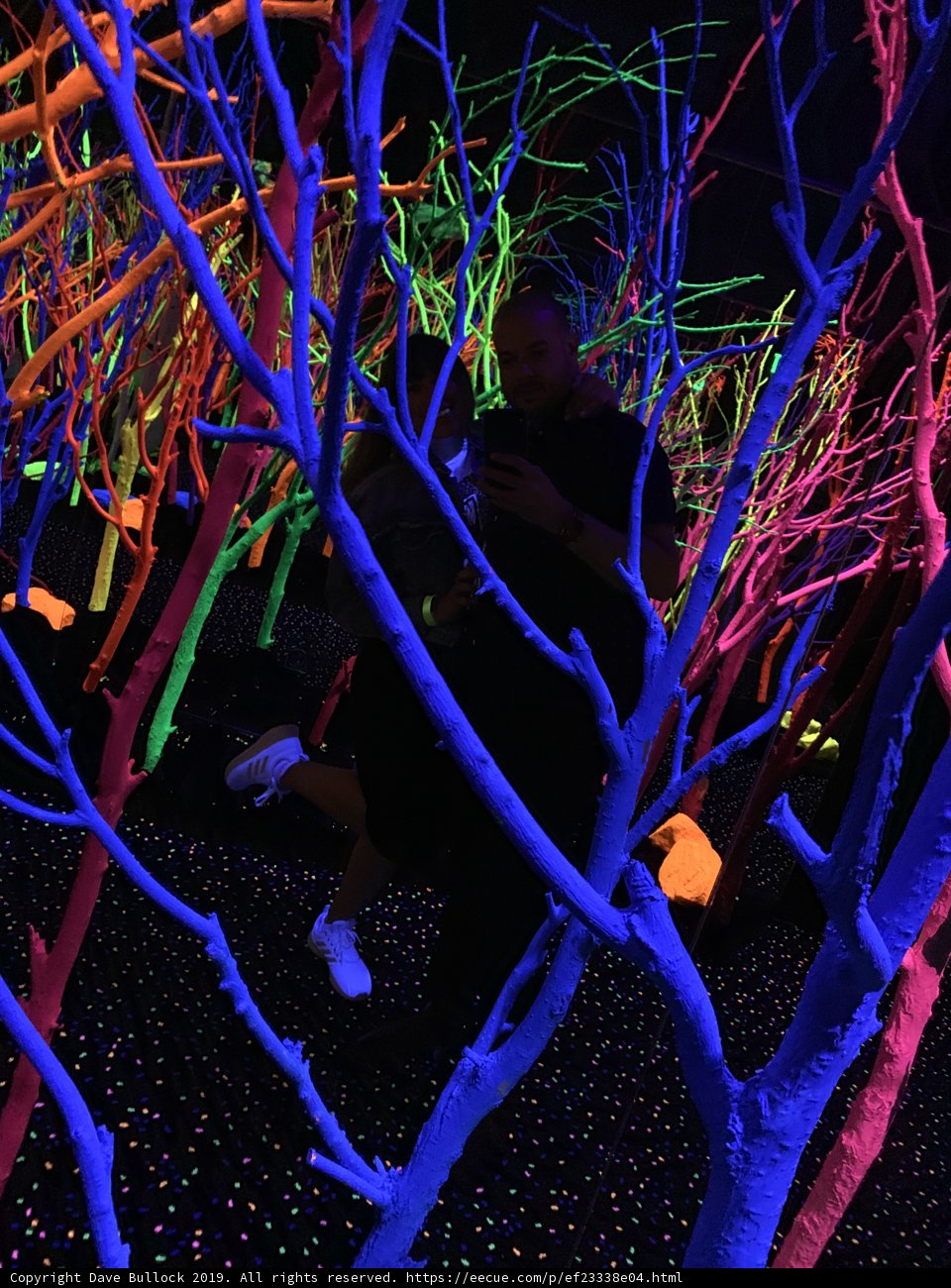 Neon Forest Nightlife