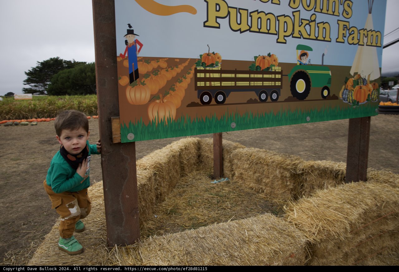 Autumn Adventures at the Pumpkin Farm