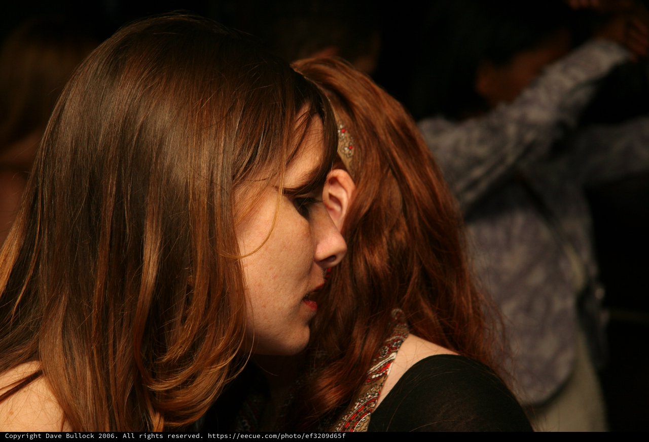 Penelope in Profile: Warm Glow at Evening Gathering