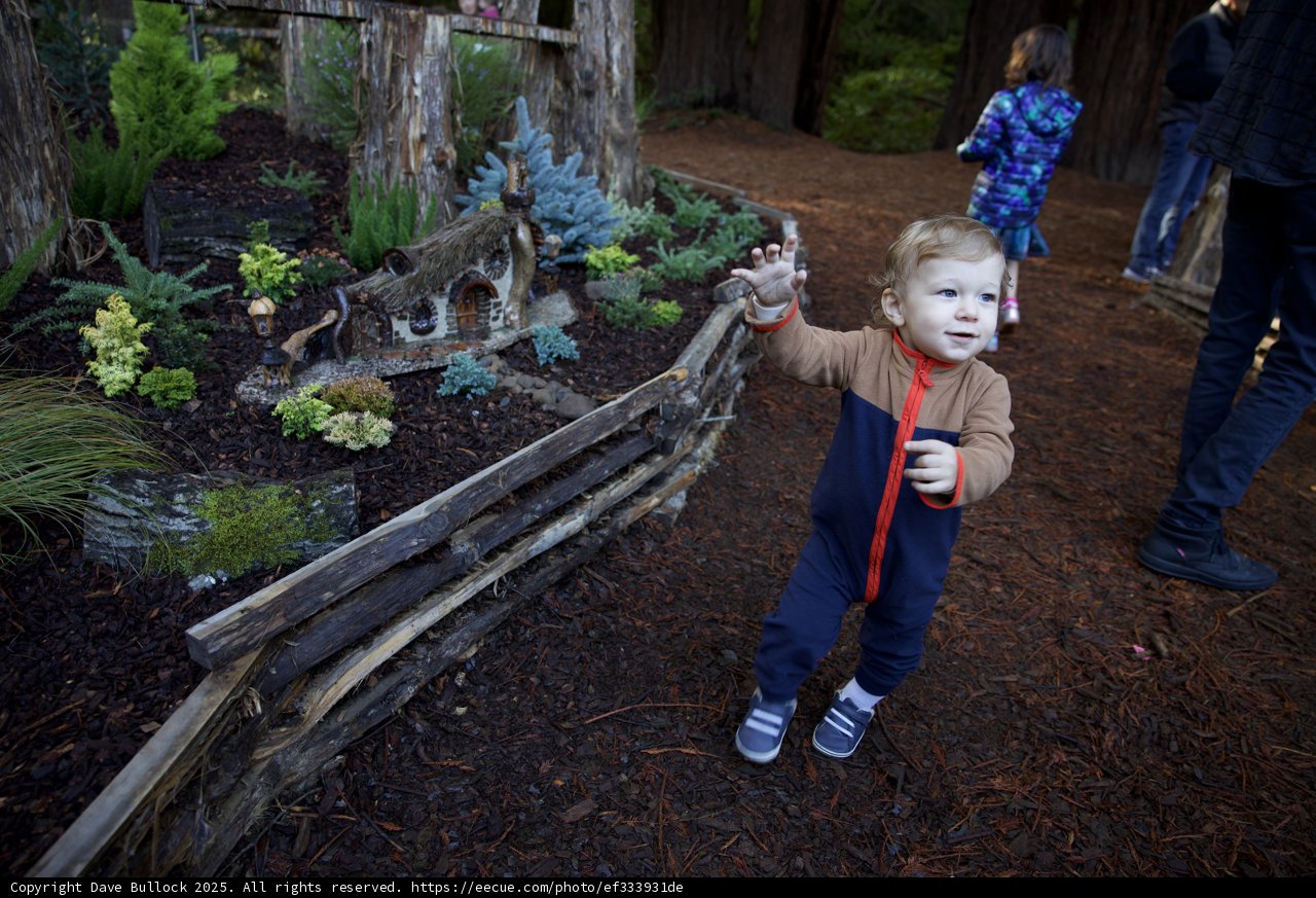 Exploring the Woodland Magic at Thistlewyck