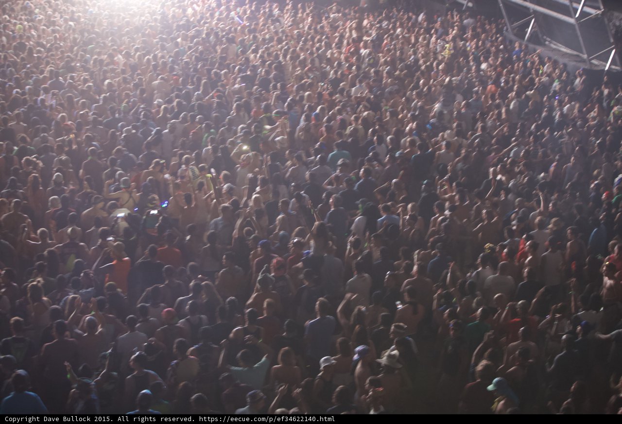 Rocking with the Urban Crowd