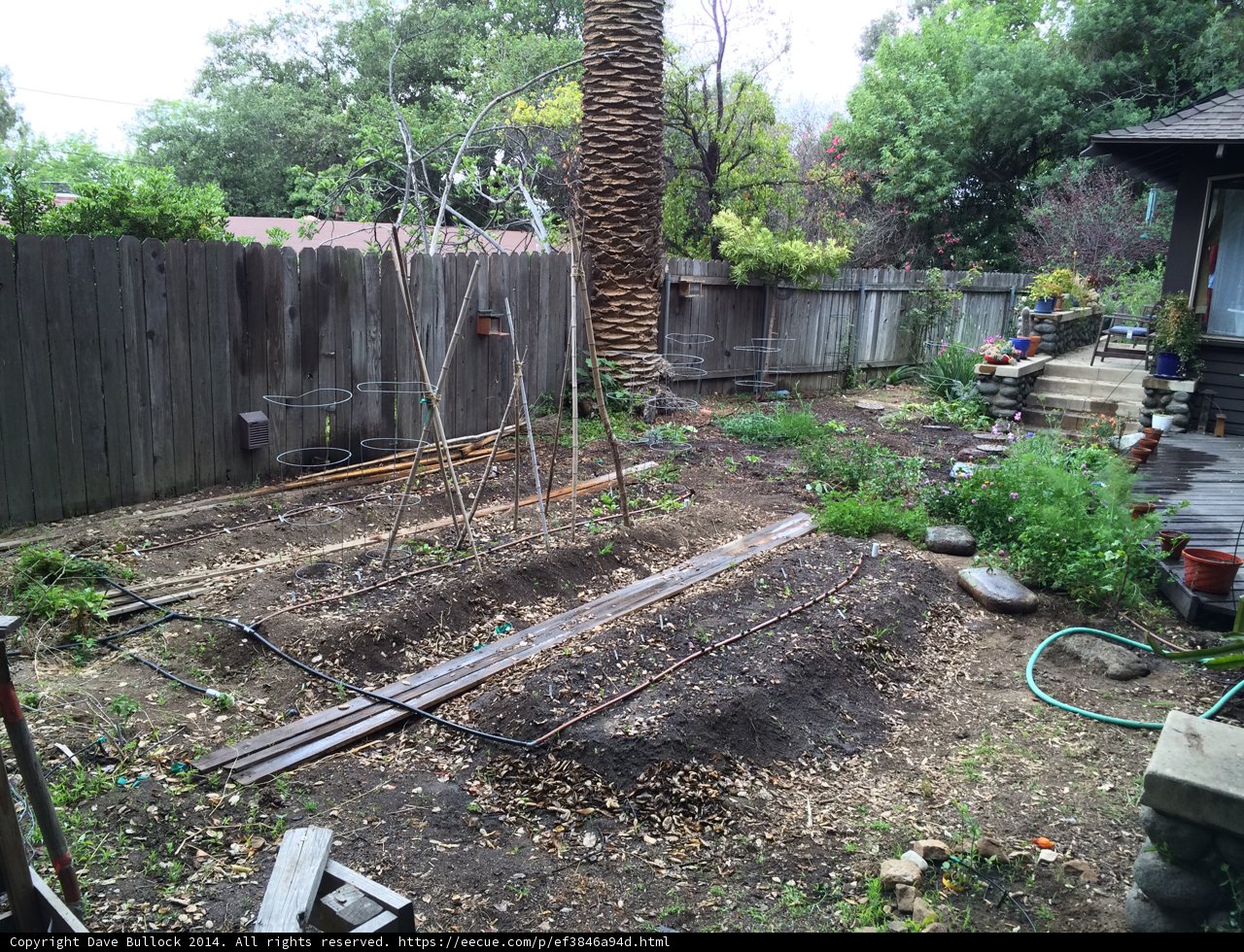 Tranquil Garden Oasis