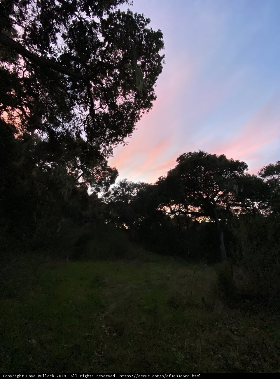 Golden Hour at Carmel Valley