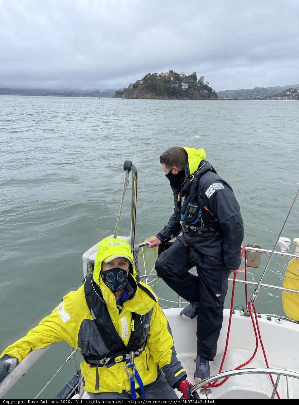 Yellow Jackets on the Waters of San Francisco Bay