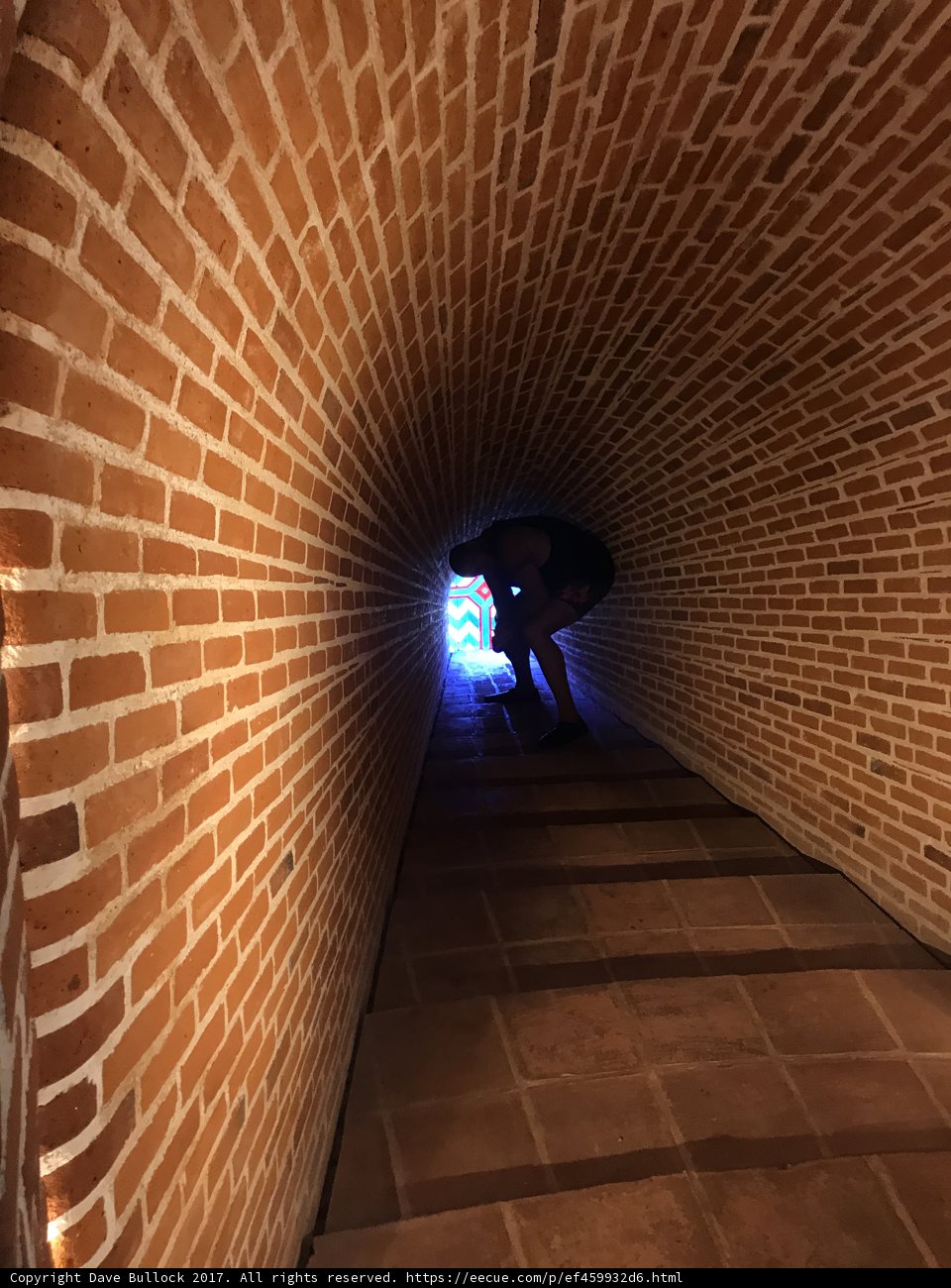 The Crypt Tunnel