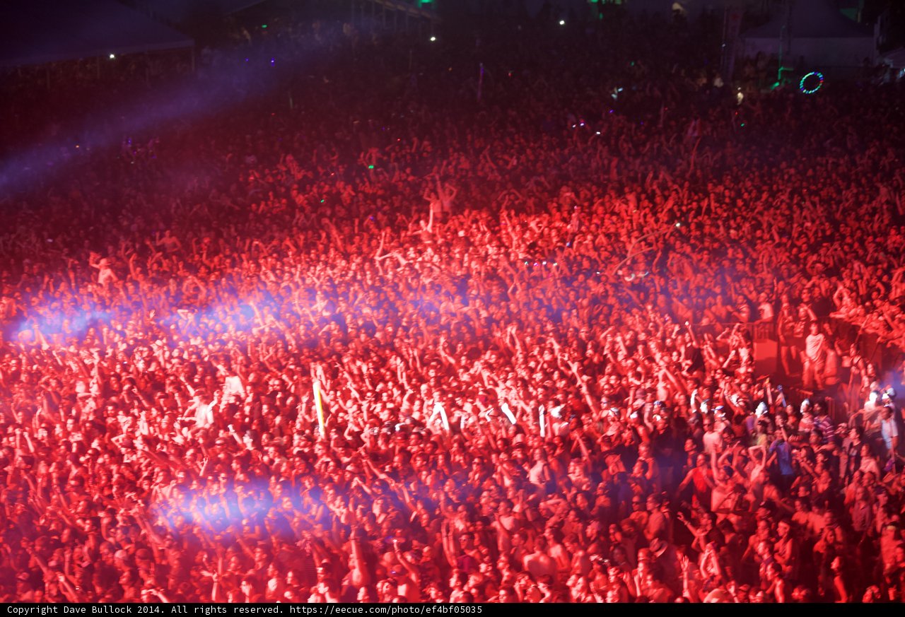Rockin' Crowd with Red Lights