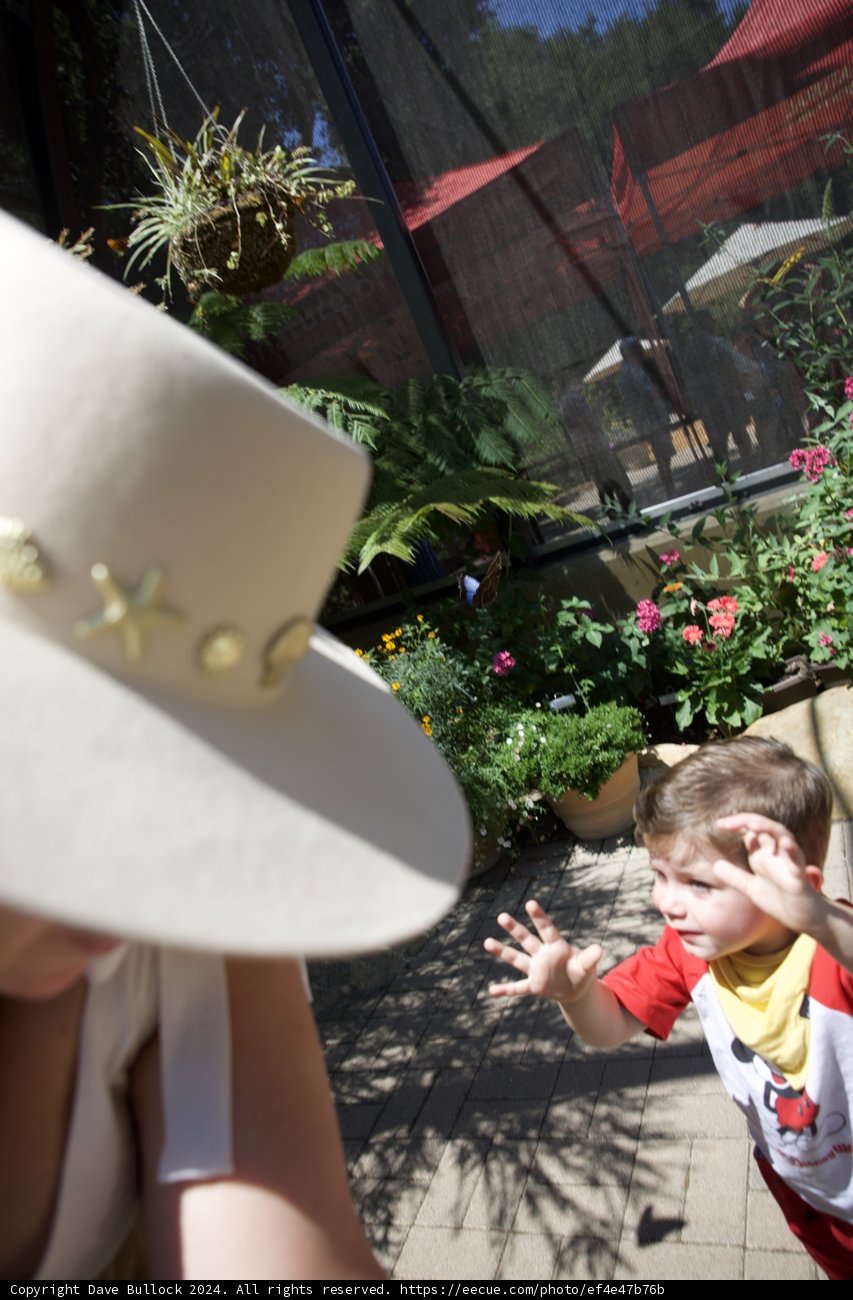 Wesley’s Garden Adventure