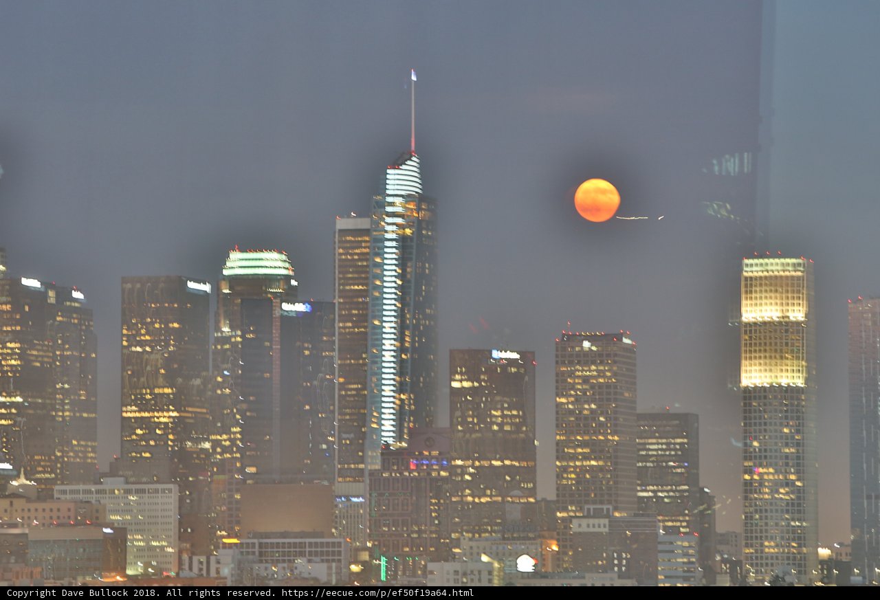 Moonlit Metropolis