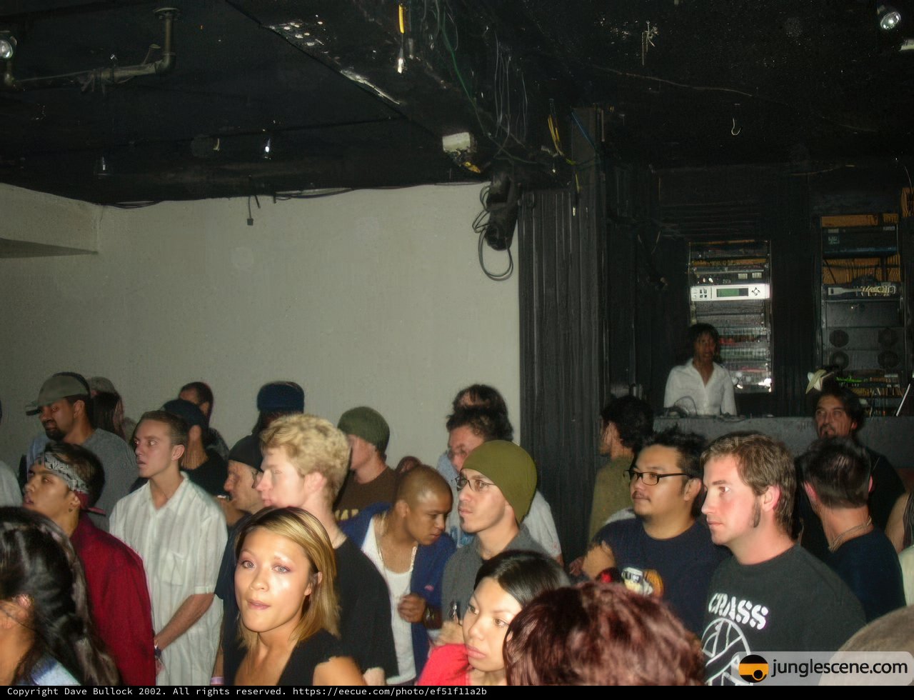 Nightclub Gathering
