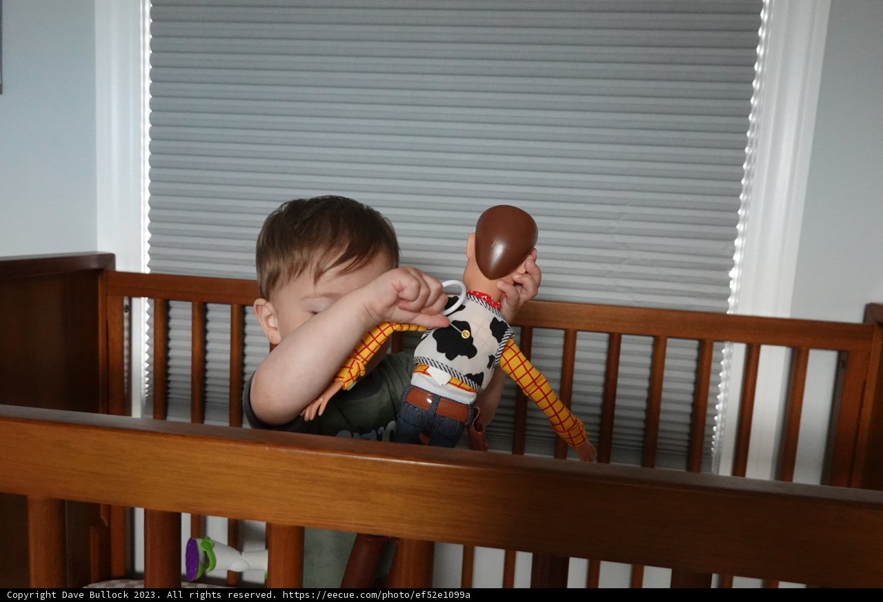 Morning Playtime in the Crib