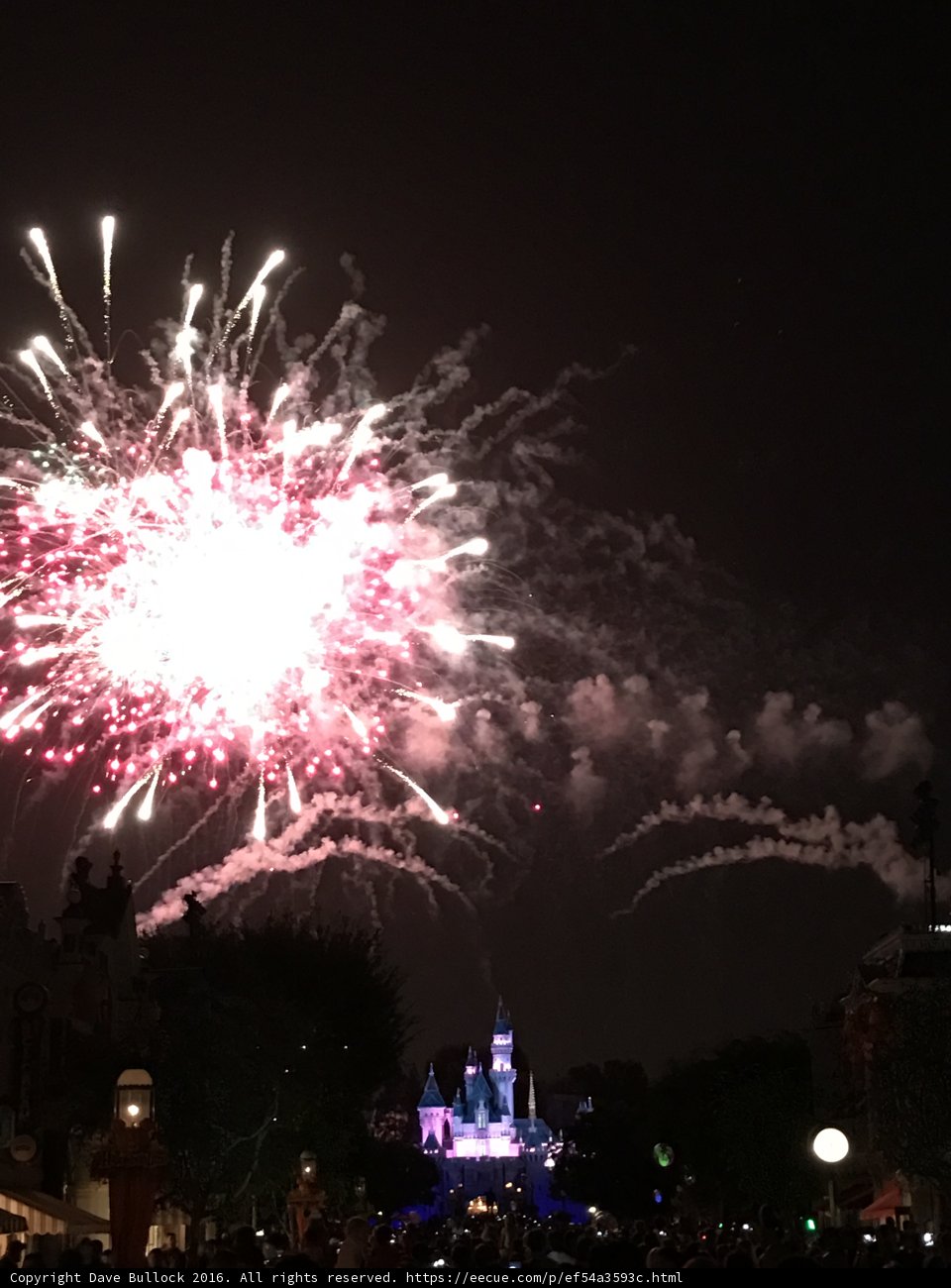 Magical Fireworks over Sleeping Beauty Castle