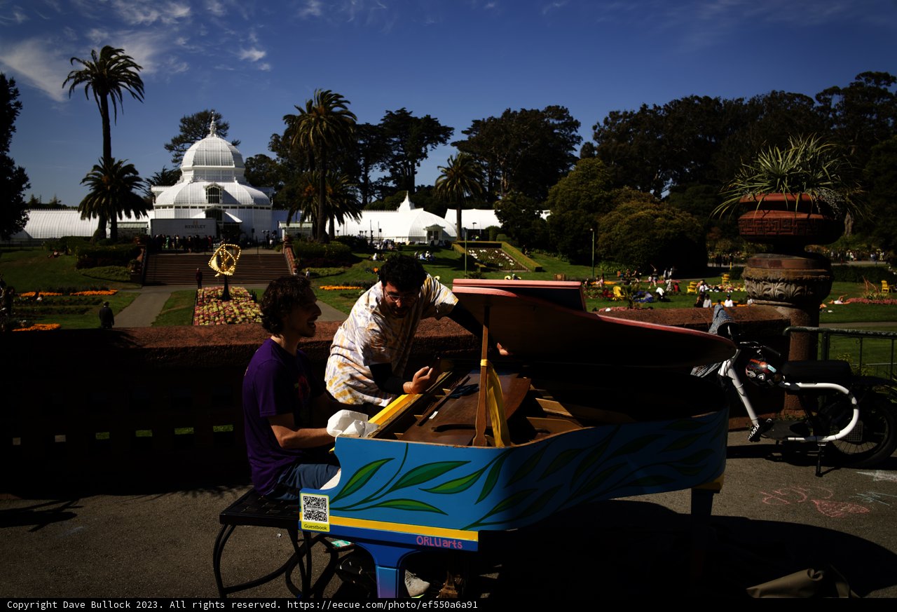 An Impromptu Concert in Golden Gate Park