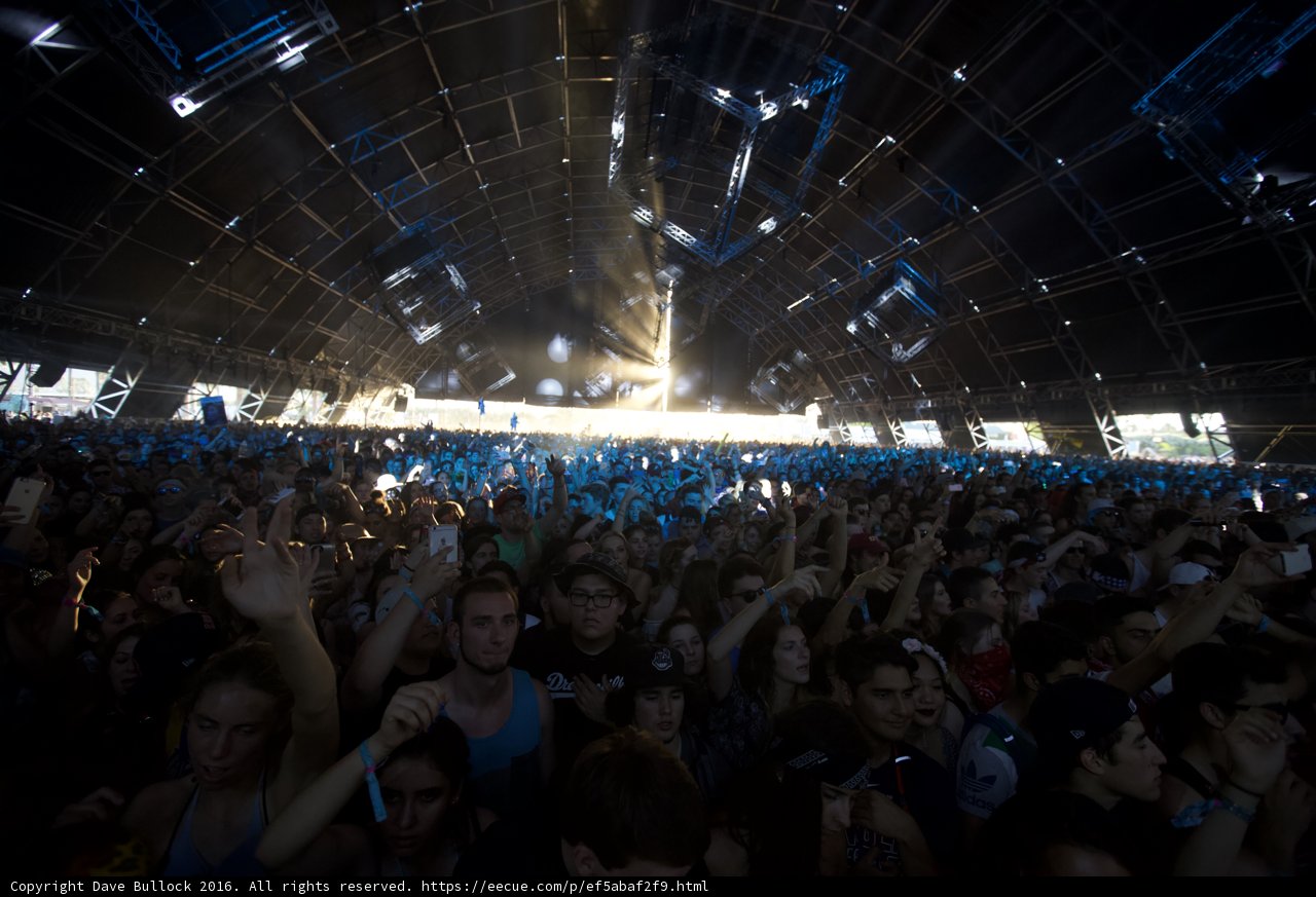 2016 Coachella Concertgoers Raise the Roof