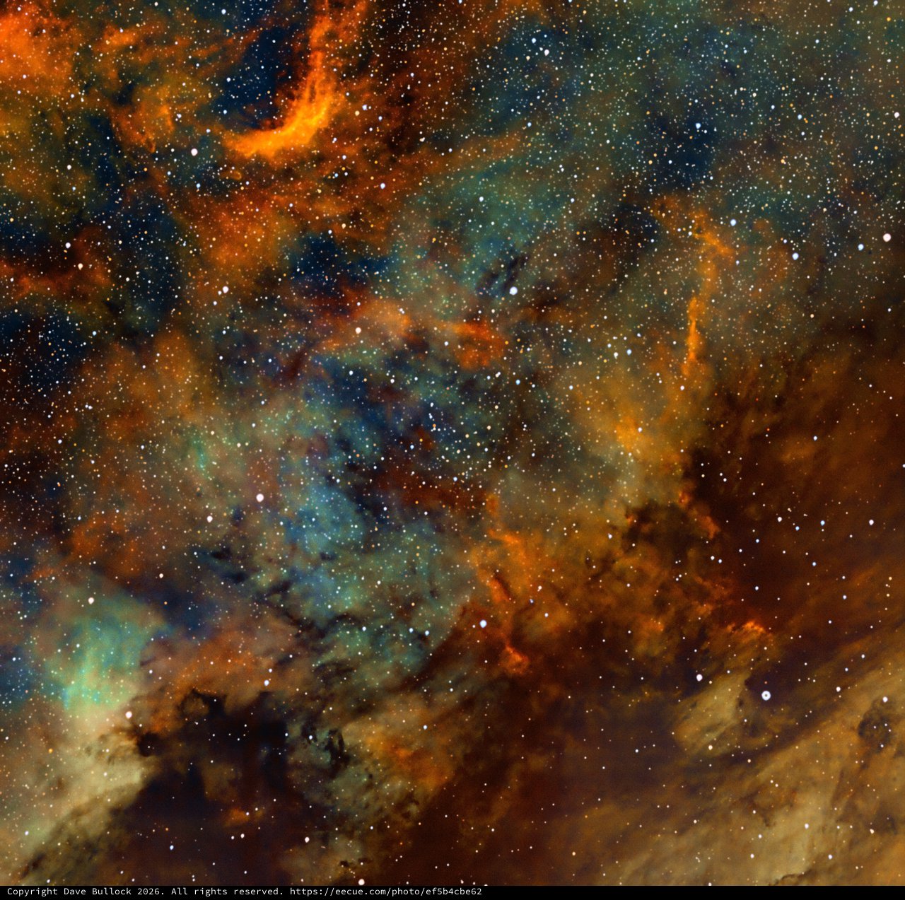 NGC6997 Open Cluster in Cygnus SHO Narrowband Palette