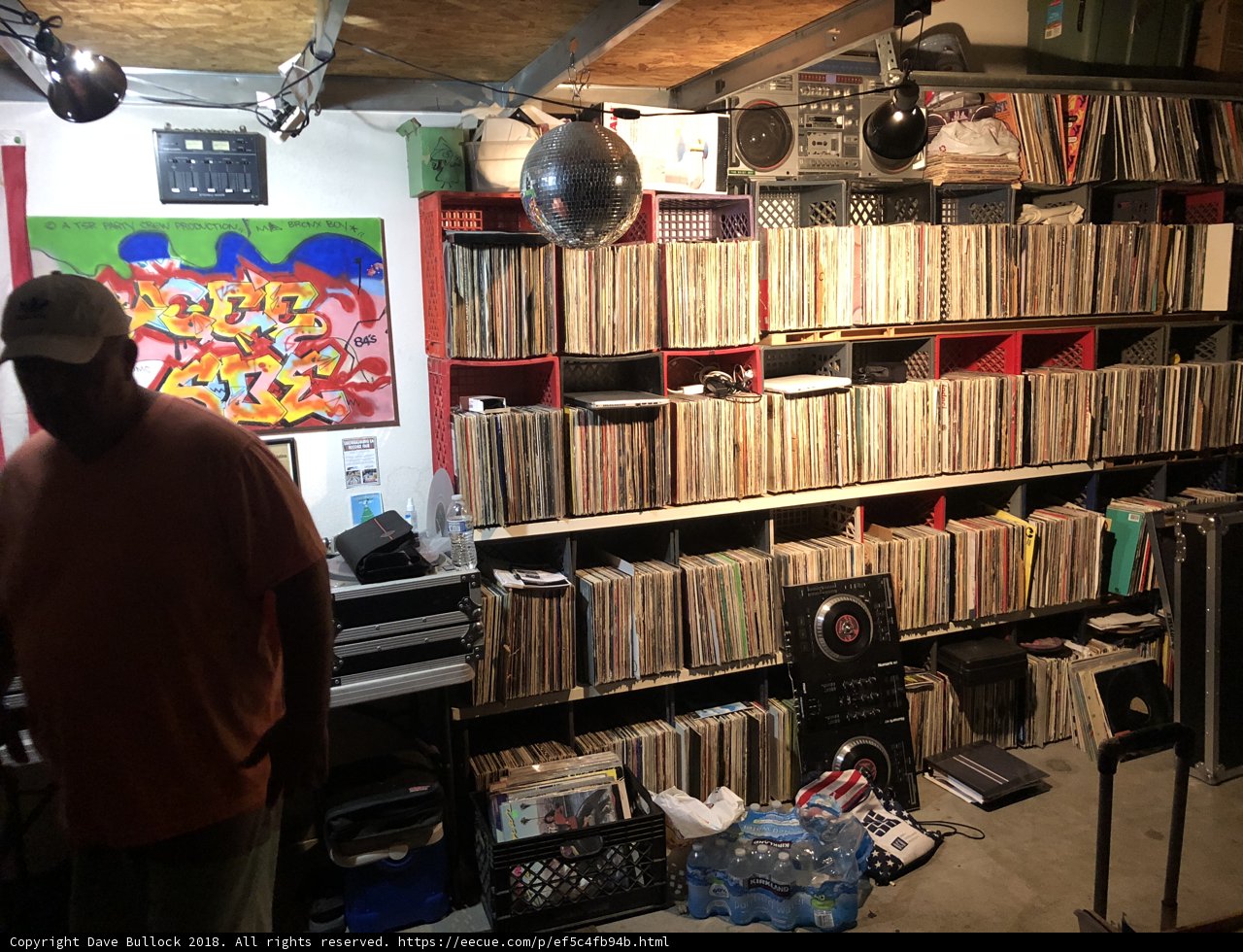 The Vinyl King