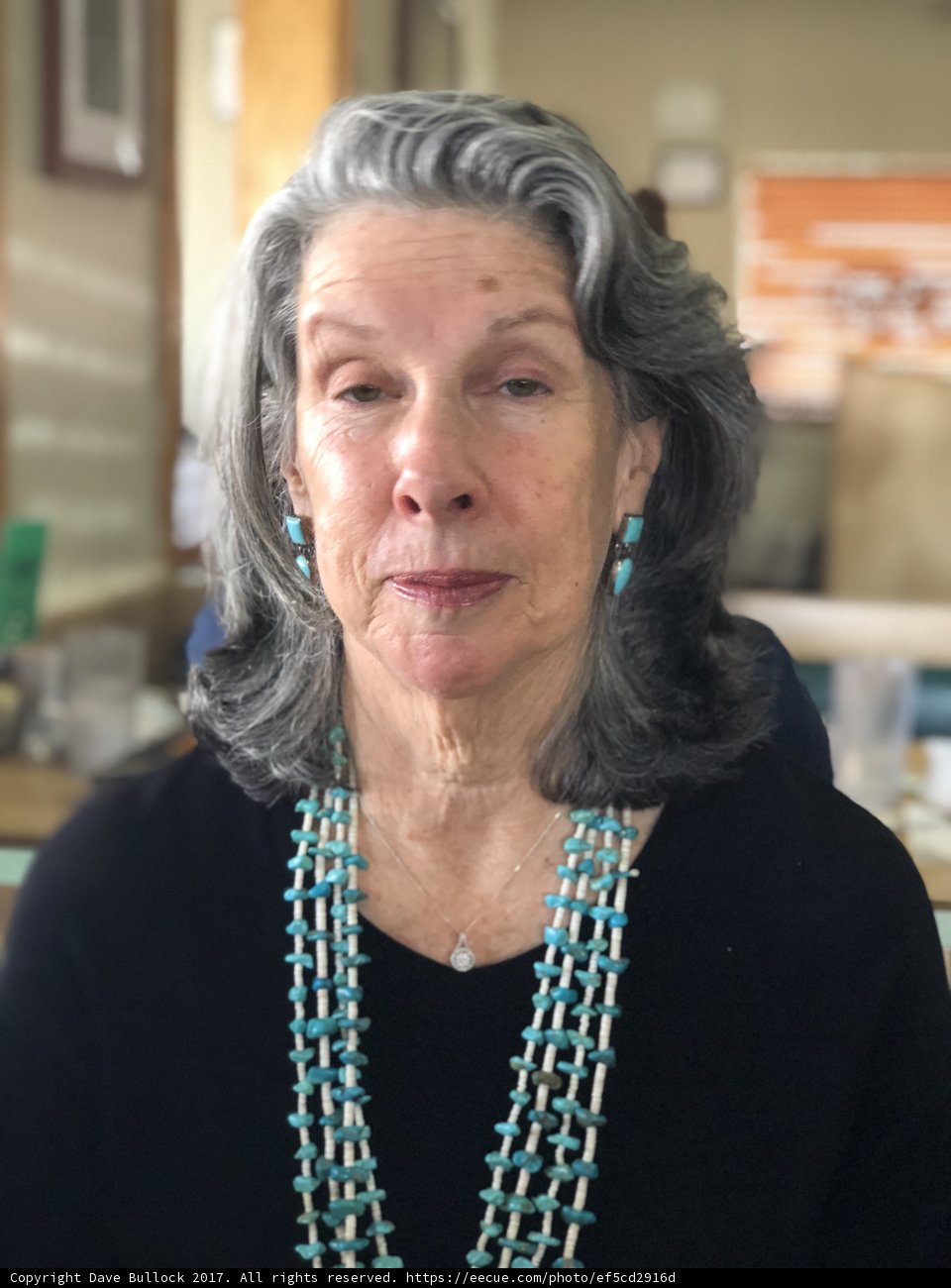 Turquoise Necklace