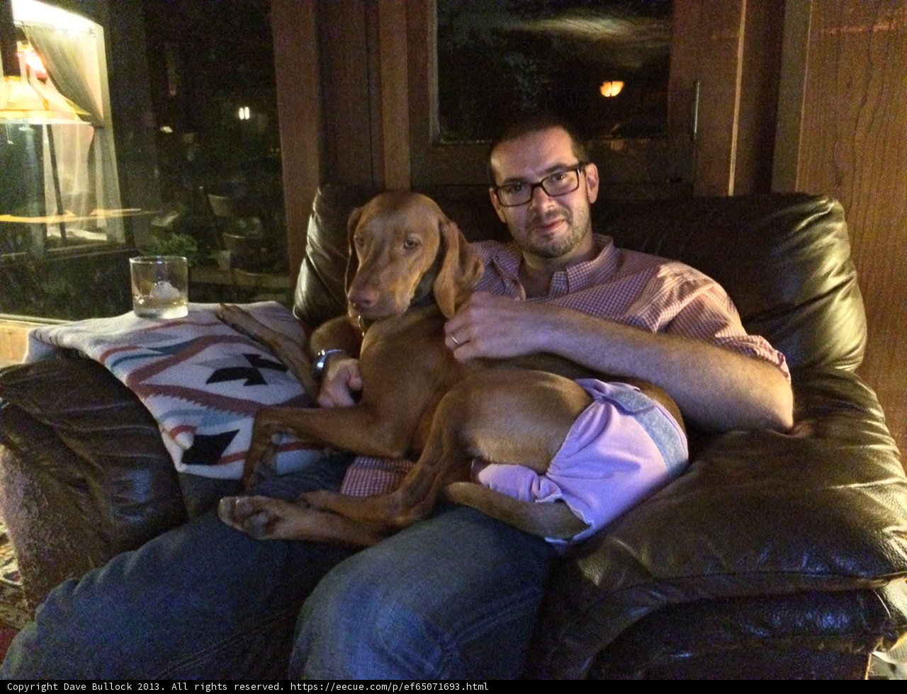 Man and Dog Cozy Up on the Couch