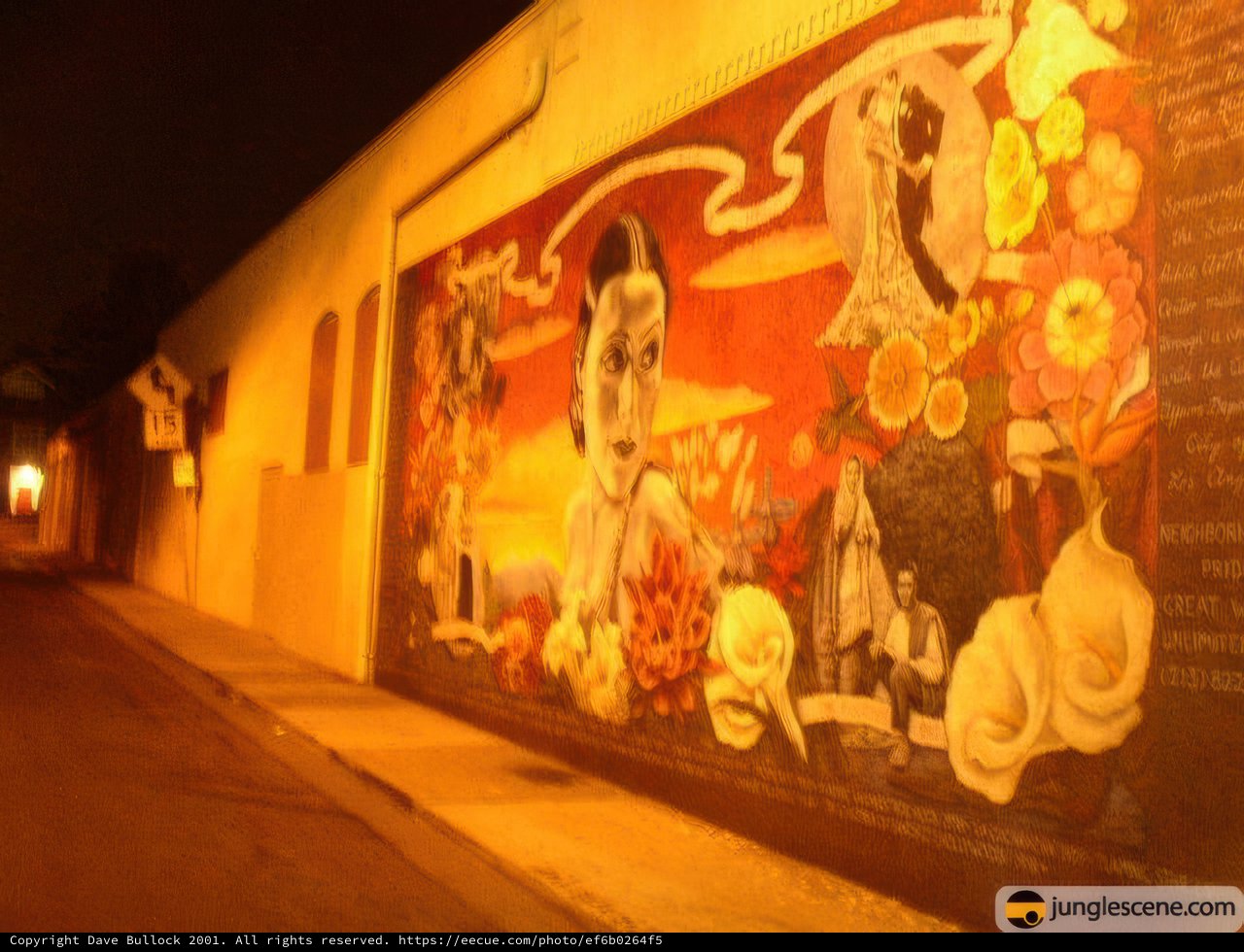 Night-time Urban Mural