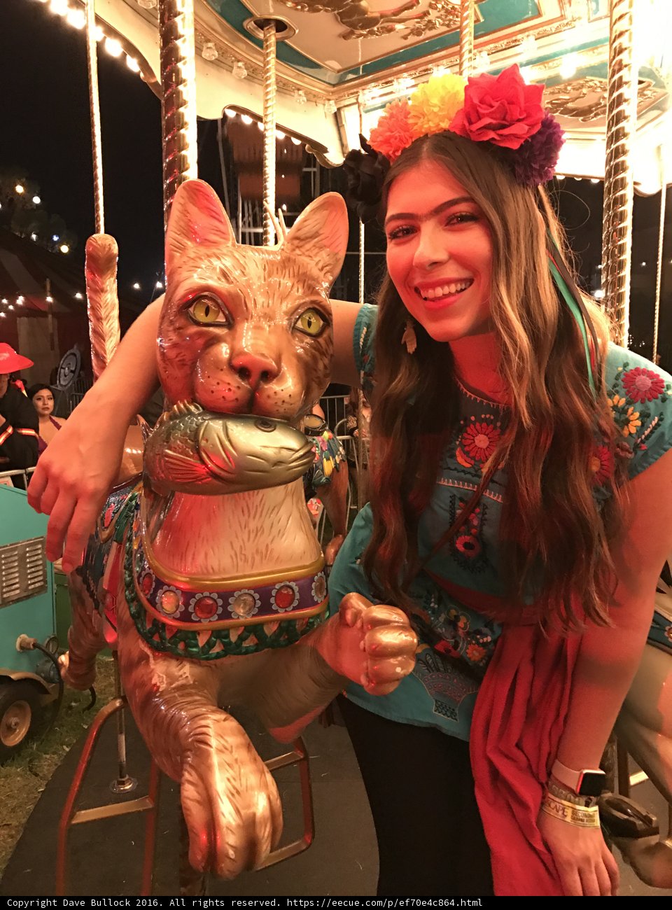 A Colorful Carousel Adventure