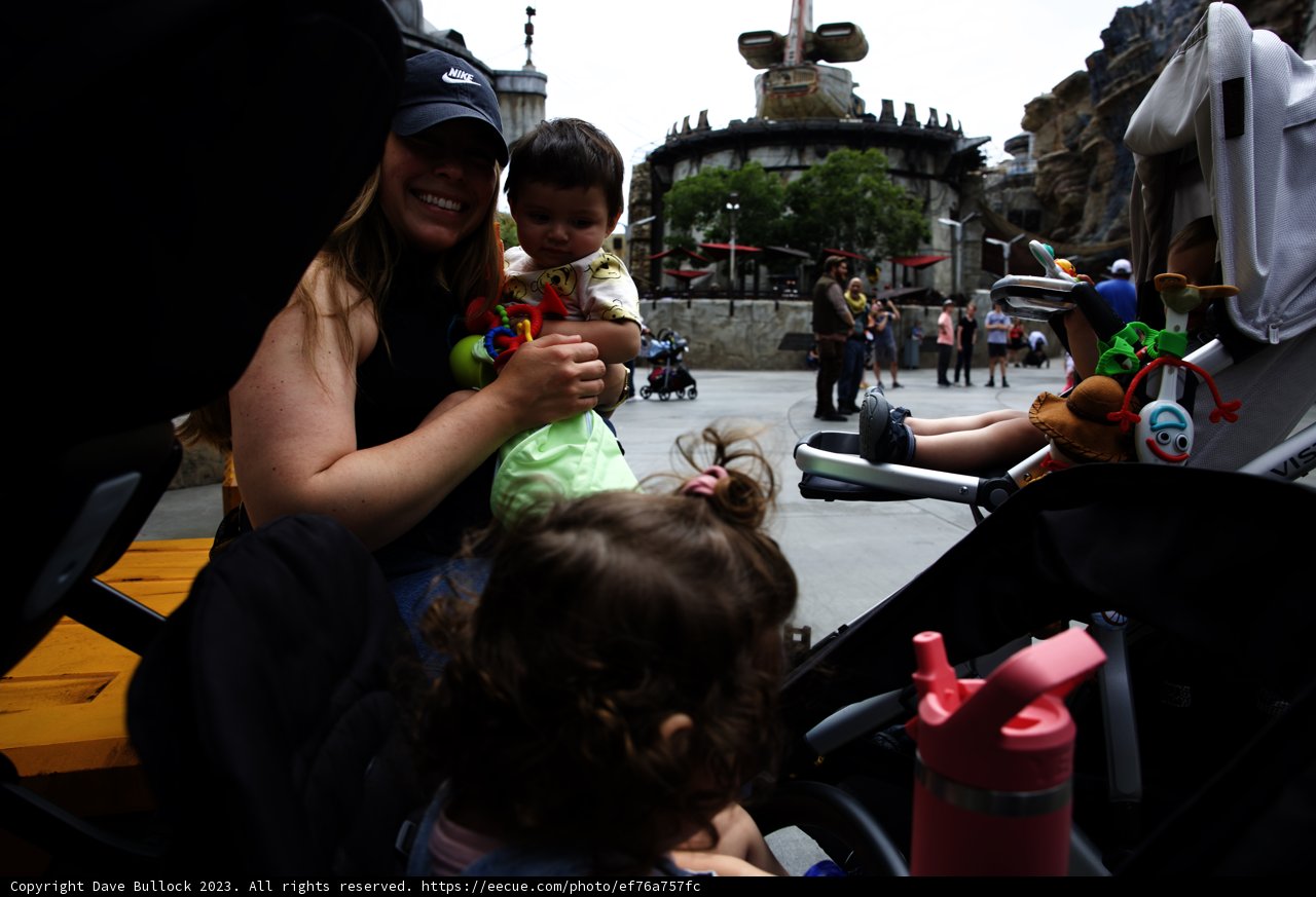 Magical Moments at Disneyland
