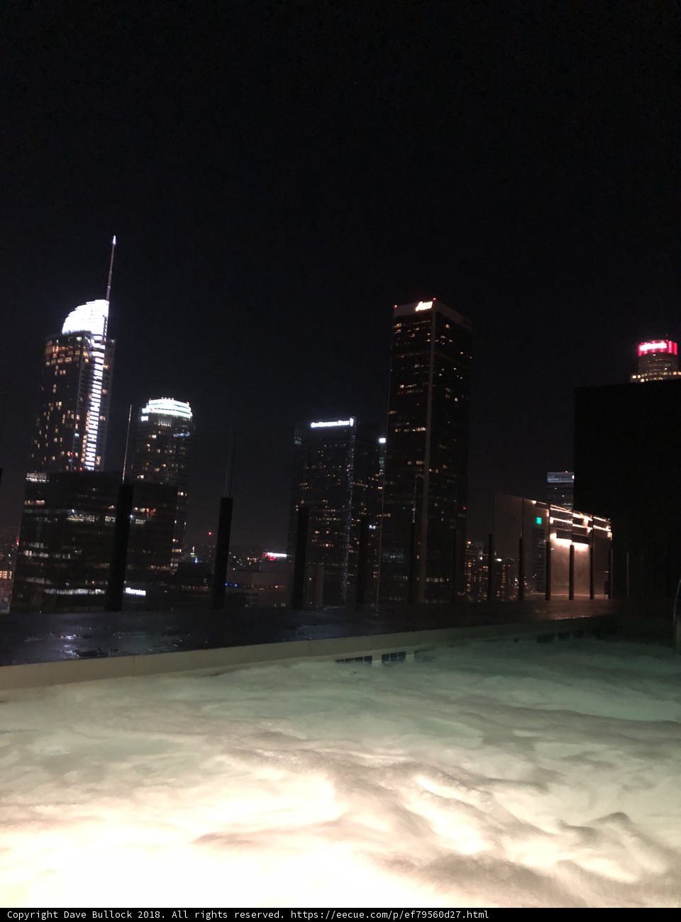Nighttime Urban Oasis